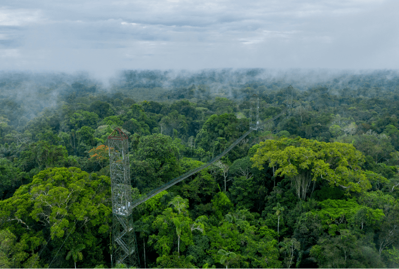 tour selva ecuador