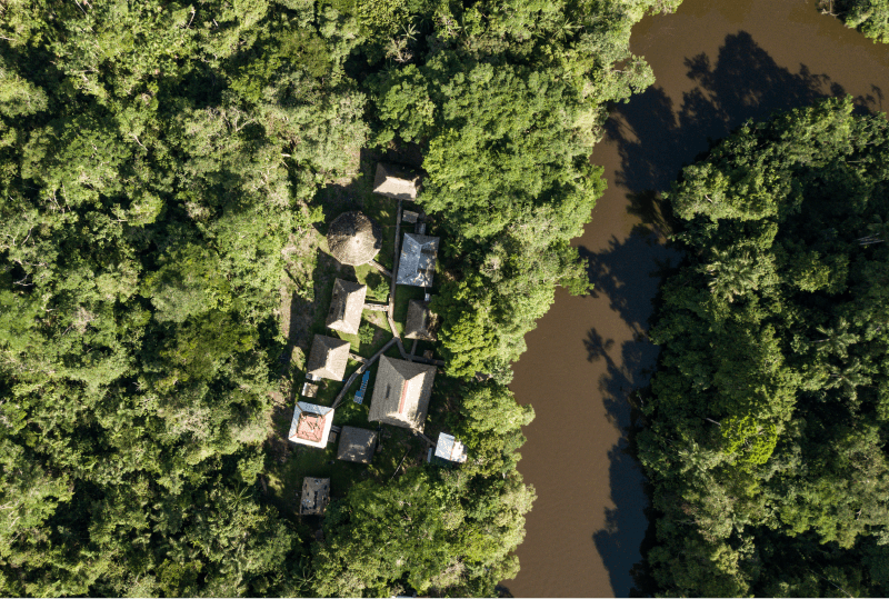 tour selva ecuador