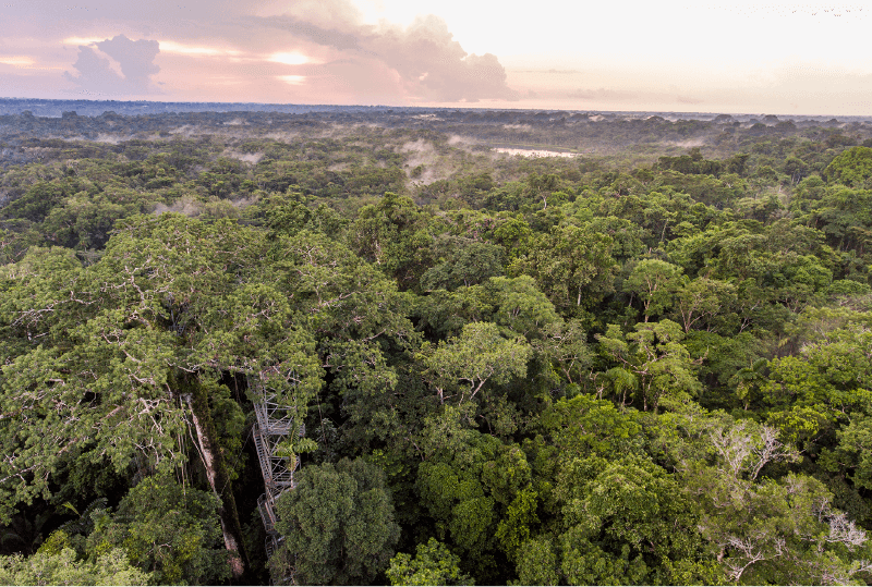 tour selva ecuador