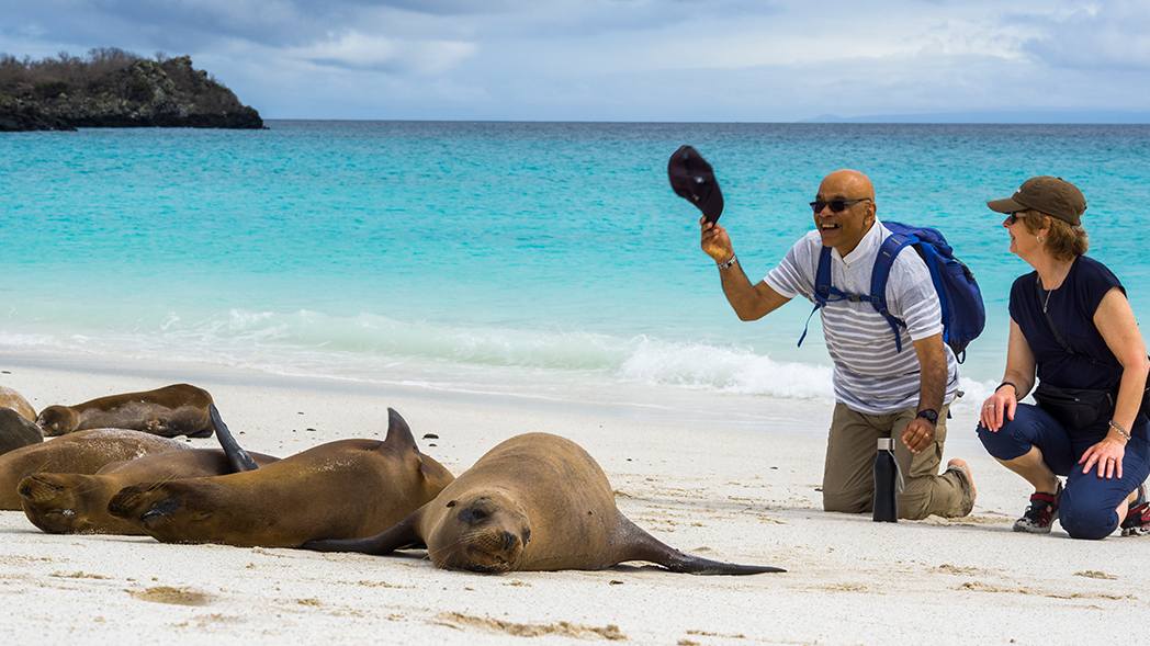You are currently viewing Galapagos Cruises and Tours
